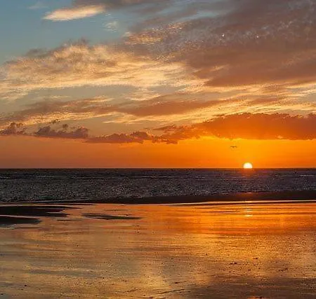 Pino Punta Umbria